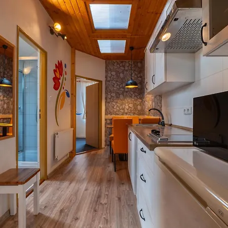 Fortuna Guest house 2*
