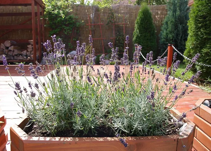 Fortuna Vendégház 2*